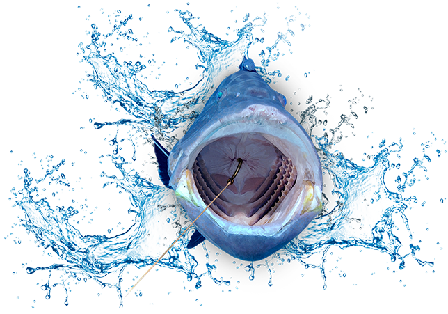 A fish jumping out of the water towards the viewer. Its mouth is open exposing a fishhook lodged in its stomach.